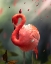 Picture of FLAMINGO