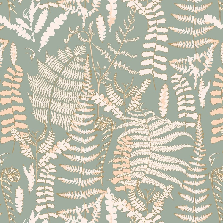 Picture of FERN BEAUTY PATTERN