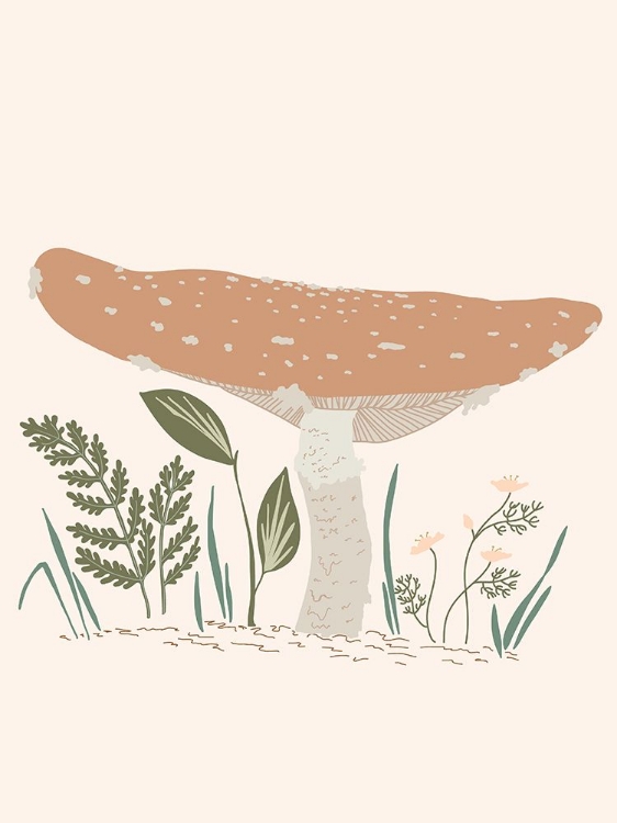 Picture of FOREST MUSHROOM