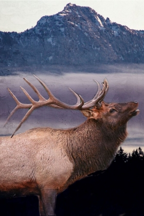 Picture of KING ELK FLAG