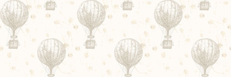 Picture of HLA015  HOT AIR BALLOOONS NEUTRAL