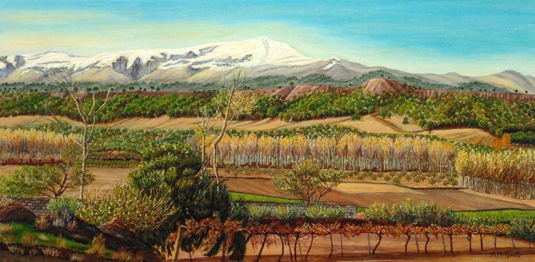 Picture of VINEYARD VALLEY IN THE SIERRA NEVADA SURROUNDINGS