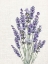 Picture of LINEN LAVENDER 2