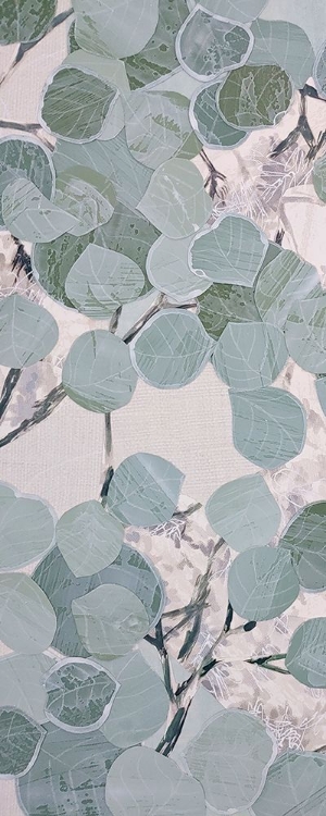 Picture of EUCALYPTUS VERT II