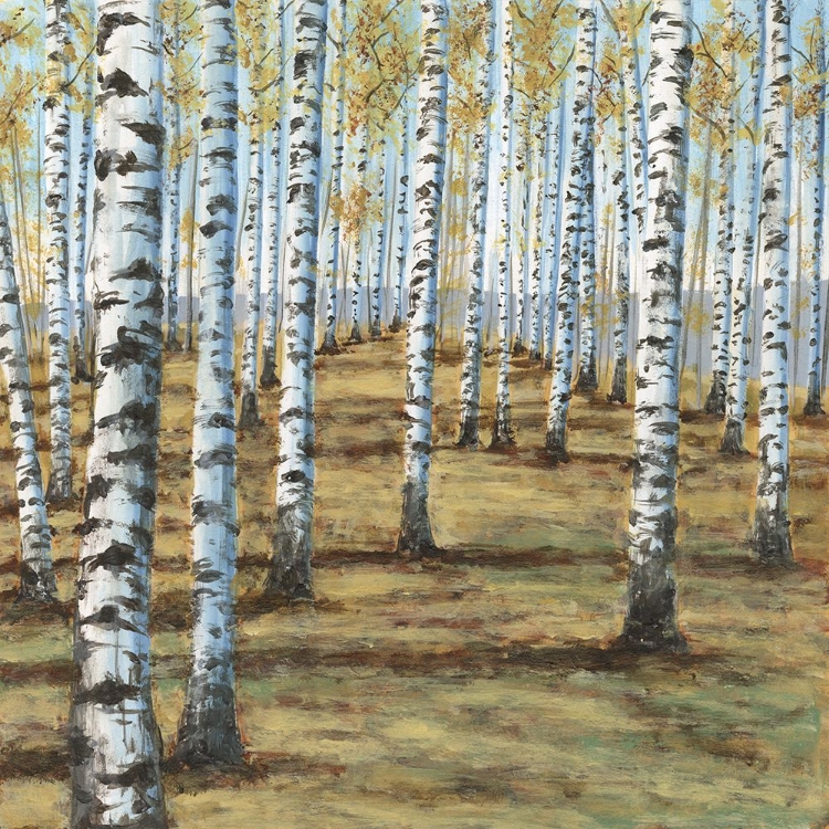 Picture of BIRCH HILLSIDE II