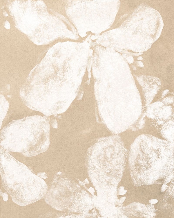 Picture of GHOST PETAL IV