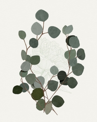 Picture of EUCALYPTUS LEAVES I