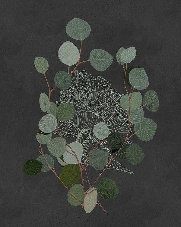 Picture of EUCALYPTUS LEAVES III