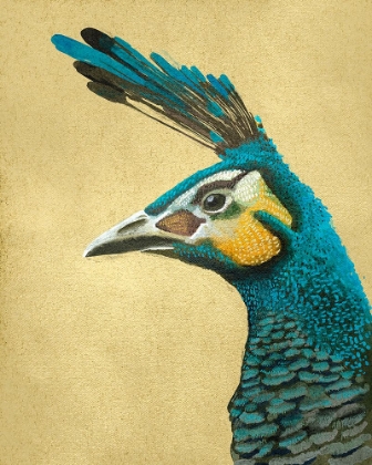 Picture of PEACOCK PROFILE I