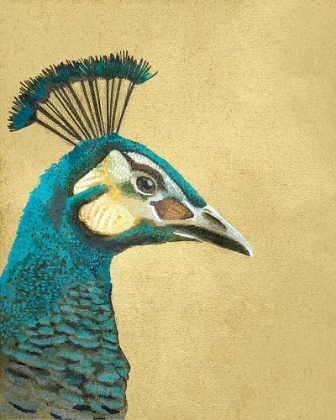 Picture of PEACOCK PROFILE II