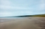 Picture of BASKING SEAWEED