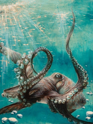 Picture of OCTOPUS