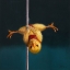 Picture of POLE CHICK INVERTED V