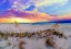 Picture of PURPLE PINK AND BLUE SUNRISE OVER BEACH SEA OATS