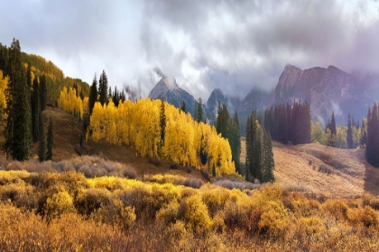 Picture of A VIEW OF FALL MOUNTAIN SCENIC, KEBLER PASS, NEAR CRESTED BUTTE, COLORADO