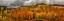 Picture of AUTUMN COLORS AT SUNSET IN CRESTED BUTTE PANORAMA