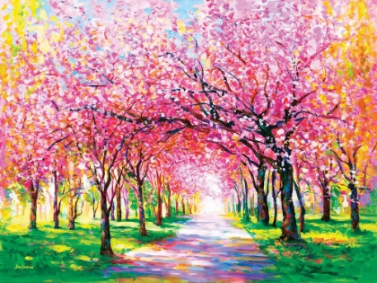 Picture of CHERRY BLOSSOM TREES