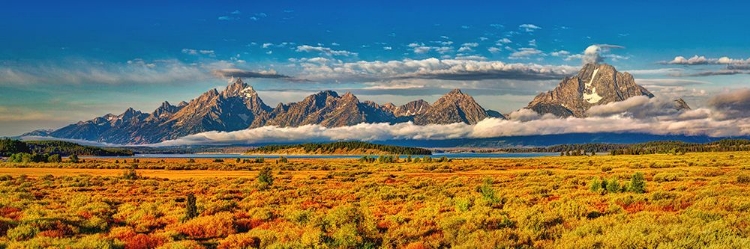 Picture of GRAND TETONS PANORAMA