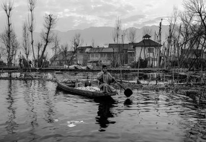 Picture of DAL LAKE VEGETABLE MARKET-1