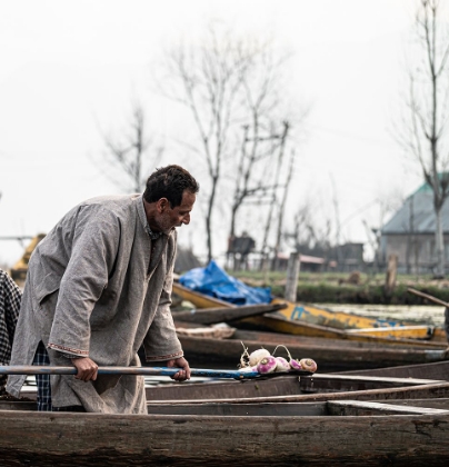 Picture of DAL LAKE VEGETABLE MARKET-2