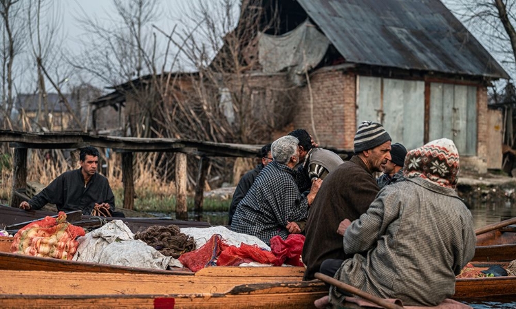 Picture of DAL LAKE VEGETABLE MARKET-4