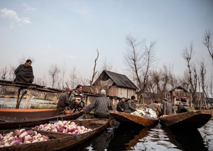 Picture of DAL LAKE VEGETABLE MARKET-6