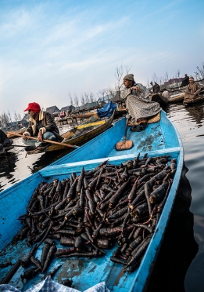 Picture of DAL LAKE VEGETABLE MARKET-8
