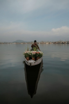 Picture of FAMOUS MR. WONDERFUL FLOWERMAN-2