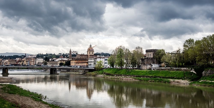 Picture of PANORAMIC FLORENCE II