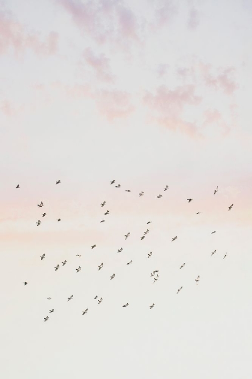 Picture of PASTEL SKY FLIGHT