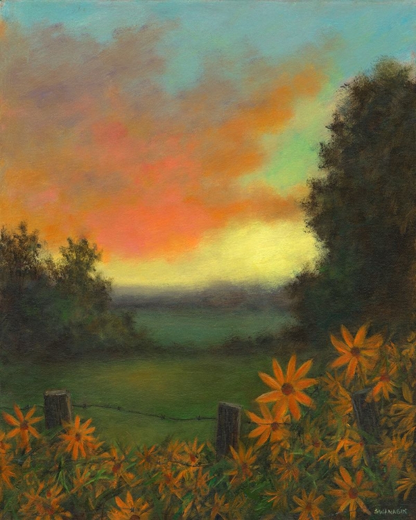 Picture of DAISIES AT SUNSET