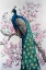 Picture of PEACOCK AND BLOSSOM I