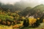 Picture of ALPINE AUTUMN.