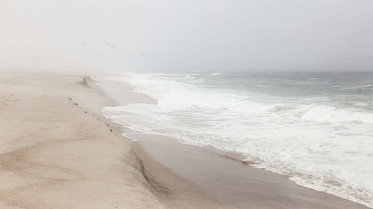 Picture of MIST OVER SAO JACINTO BEACH