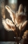 Picture of PAMPAS GRASS IN SUNLIGHT