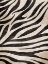 Picture of ZEBRA