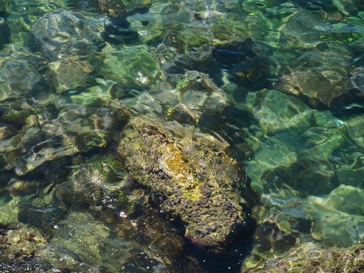 Picture of SEASCAPE AND ROCKS