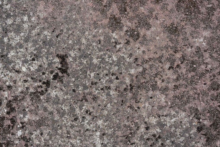 Picture of TEX SURFACE S38