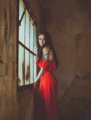 Picture of THE RED DRESS