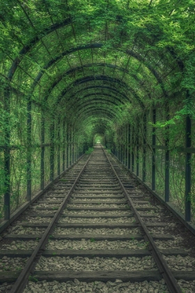 Picture of GREEN TUNNEL