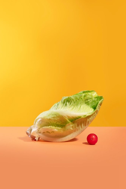 Picture of LETTUCE