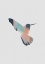 Picture of PASTEL HUMMINGBIRD II