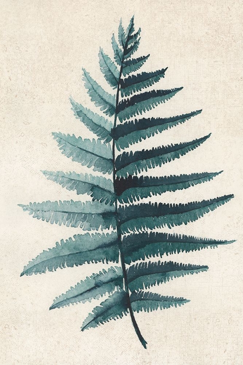 Picture of TEAL WATERCOLOR FERN 5