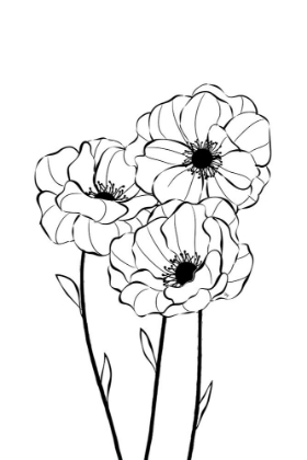 Picture of POPPIES