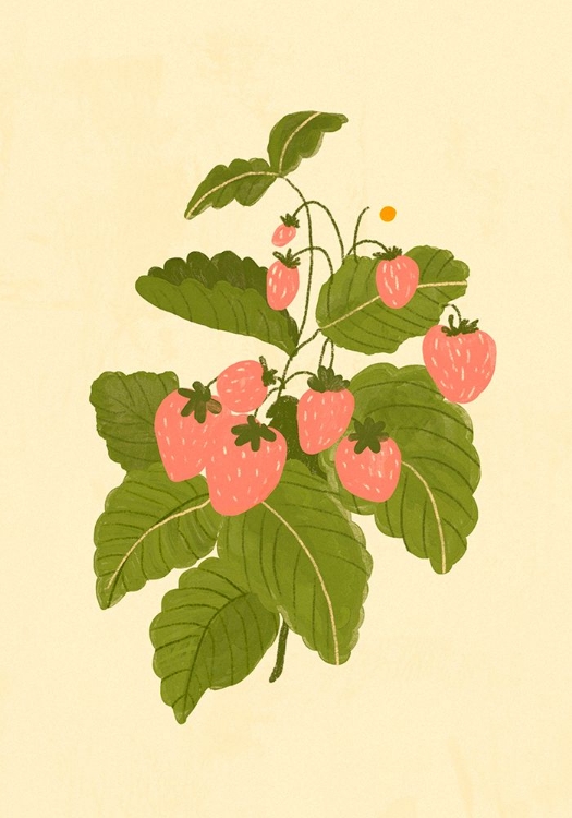 Picture of WILD STRAWBERRIES