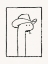 Picture of SQUIGGLES THE SNAKE IN A STETSON