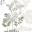 Picture of BOTANICAL SAGE AND WHITE 2 V2