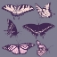 Picture of BUTTERFLY CHART 2