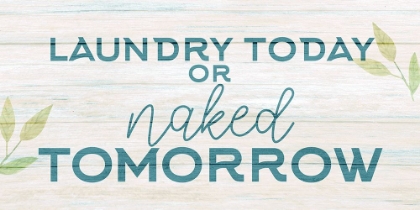 Picture of LAUNDRY OR NAKED V2