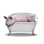 Picture of PIGGY BATH